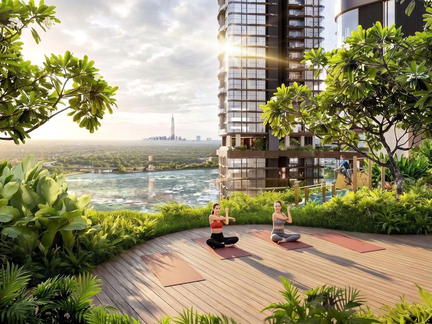 Sàn yoga ngoài trời trên cao giữa tán cây